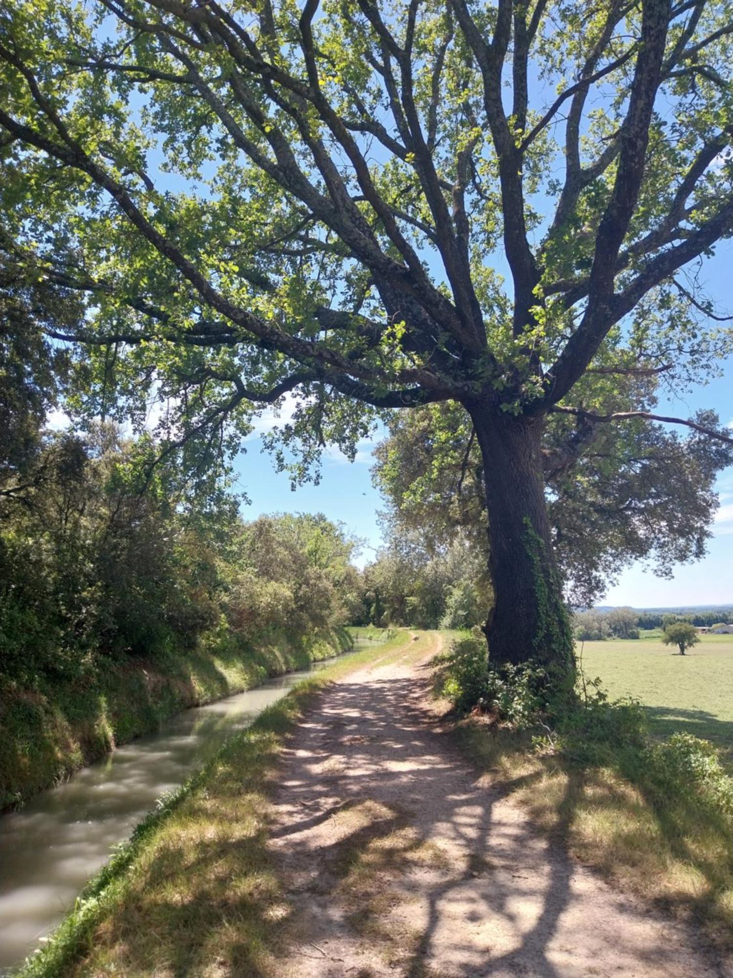 Eden - Campagne Avec Piscine Commune